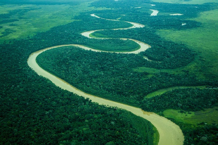 The Amazon at first light — wild swimming on a different scale entirely