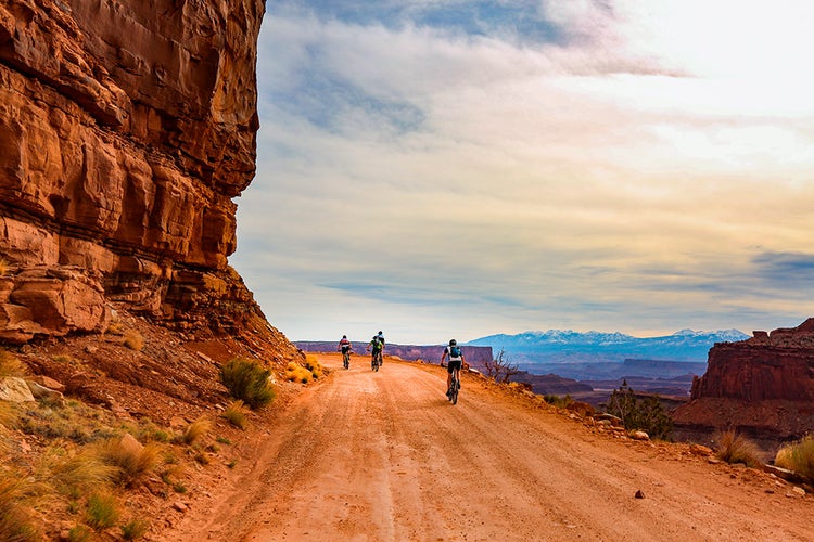 Desert Survival Guide
